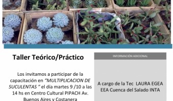 Multiplicacin de Suculentas